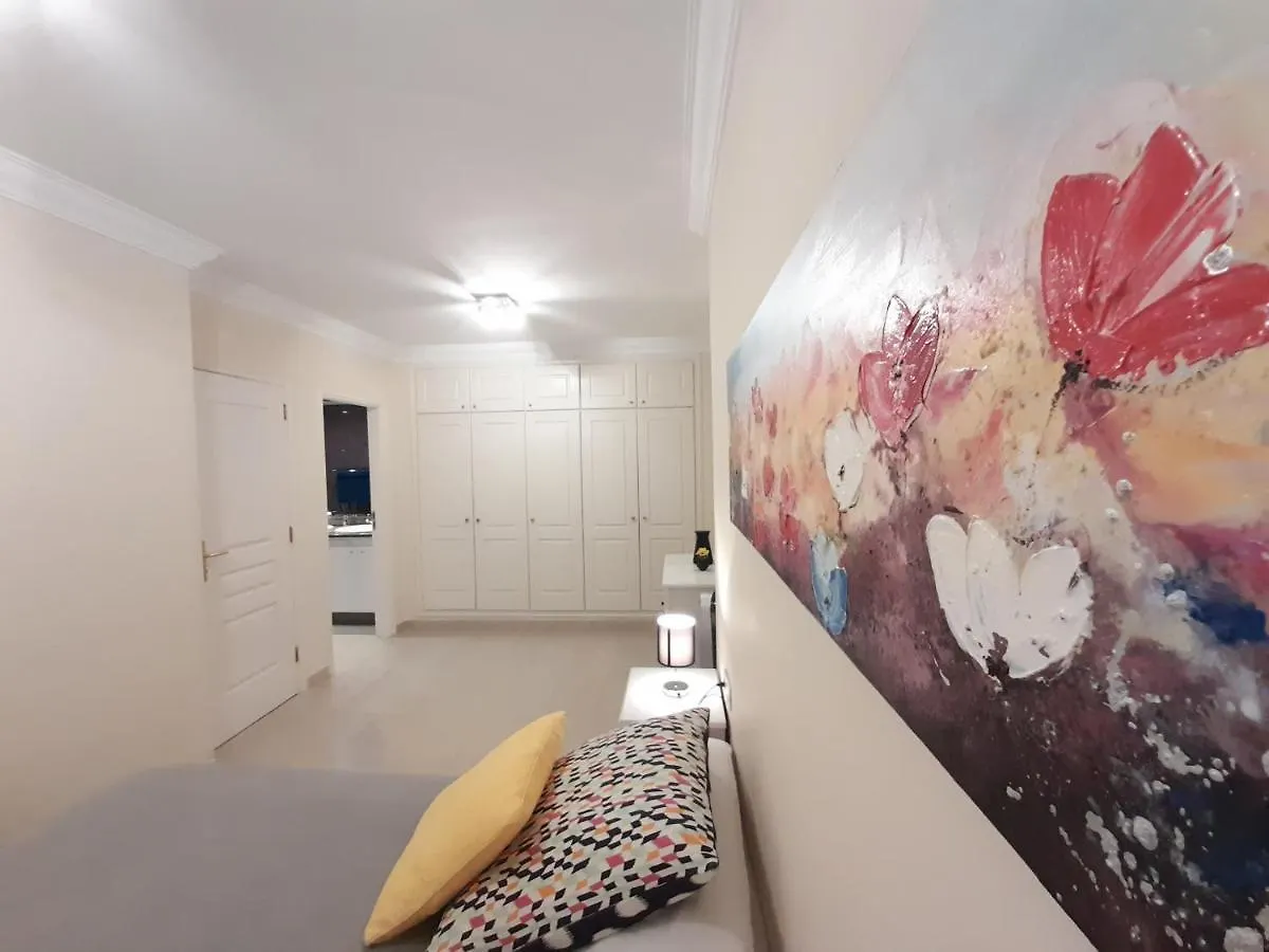 公寓 阿德耶Terraza Del Duque II Luxury公寓 西班牙
